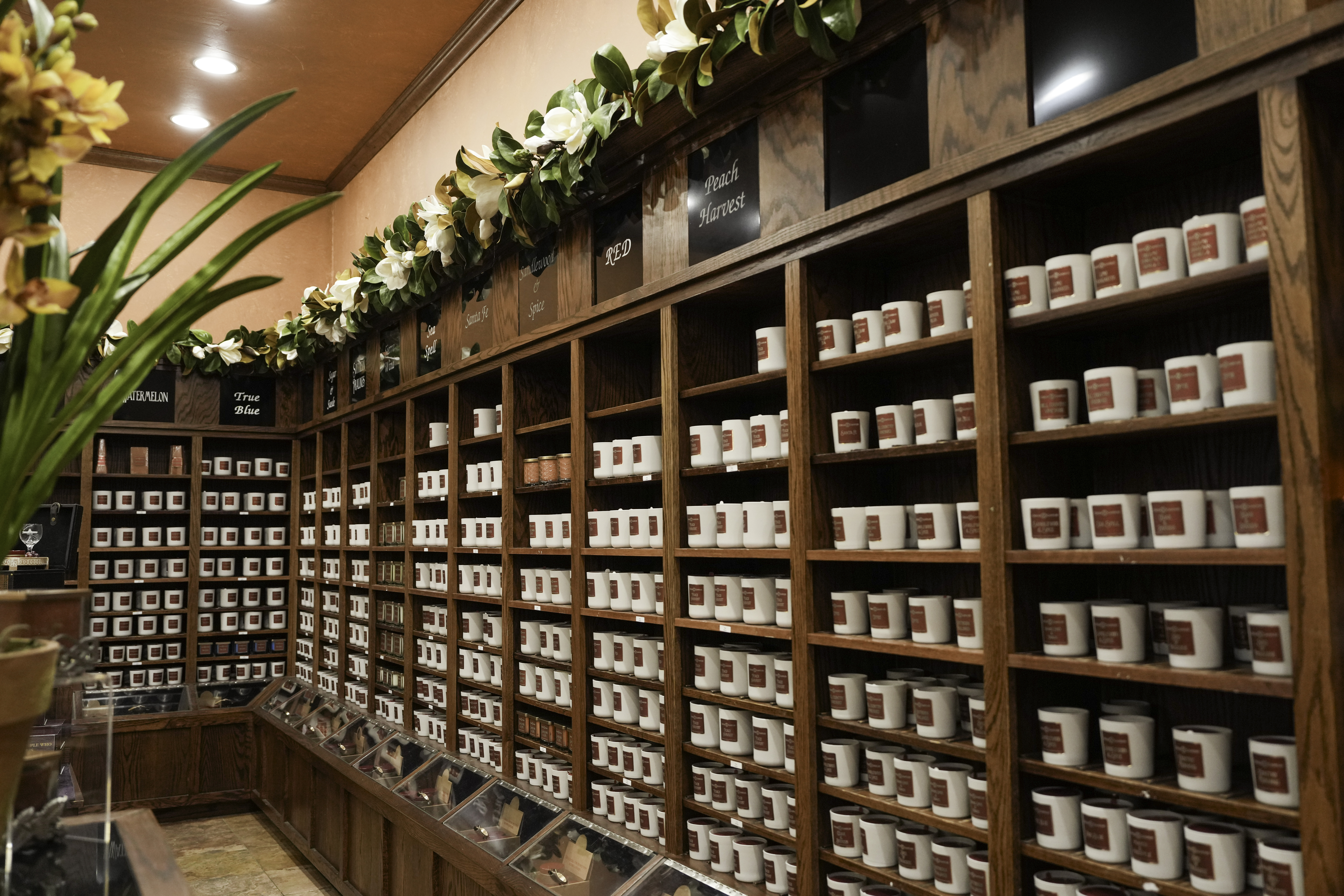 Shop All Candles image